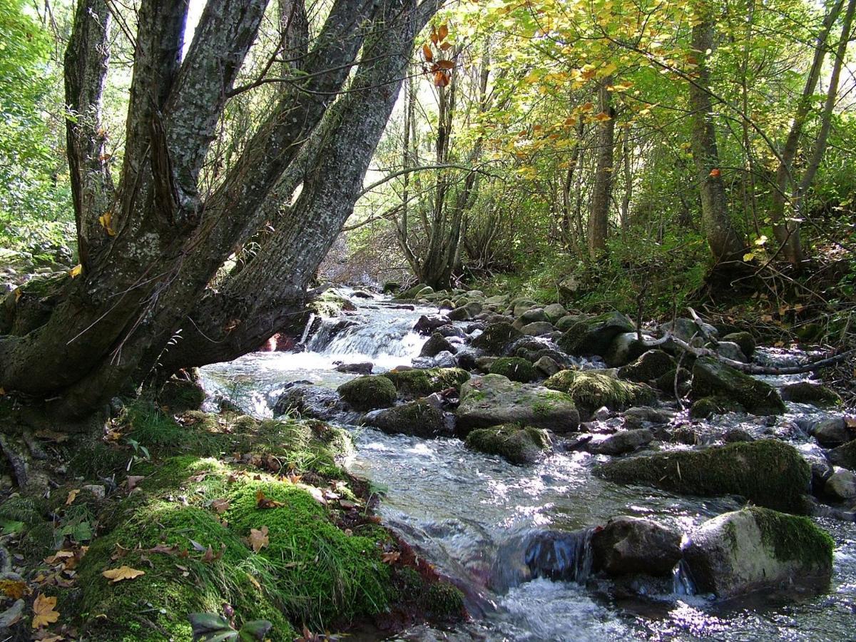 Hotel Capracotta Dış mekan fotoğraf
